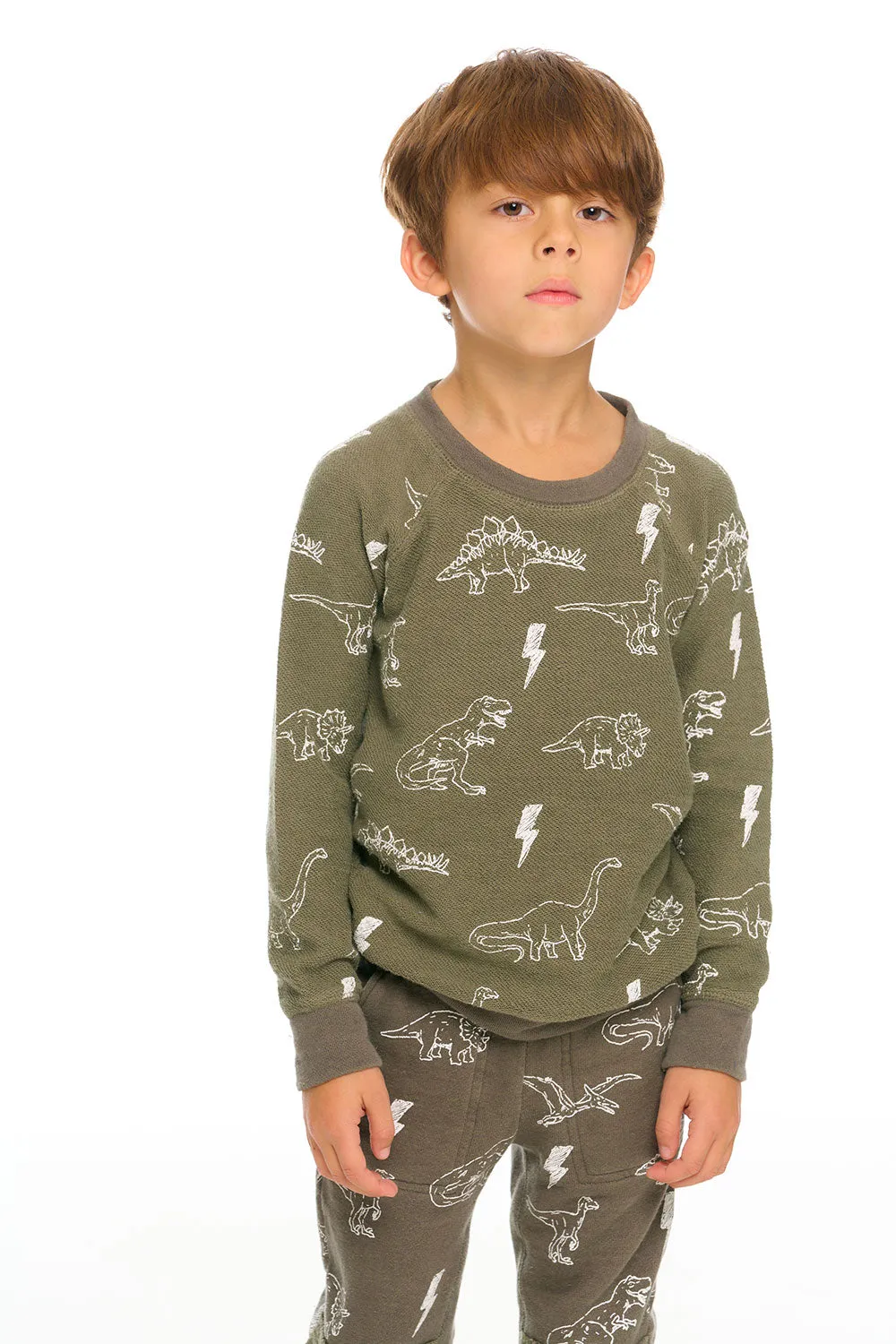 Dino Pullover