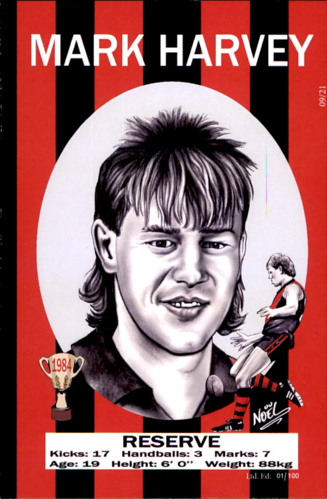 Essendon Bombers 1984 Premiers Card Set by Noel