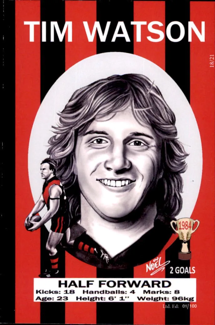 Essendon Bombers 1984 Premiers Card Set by Noel