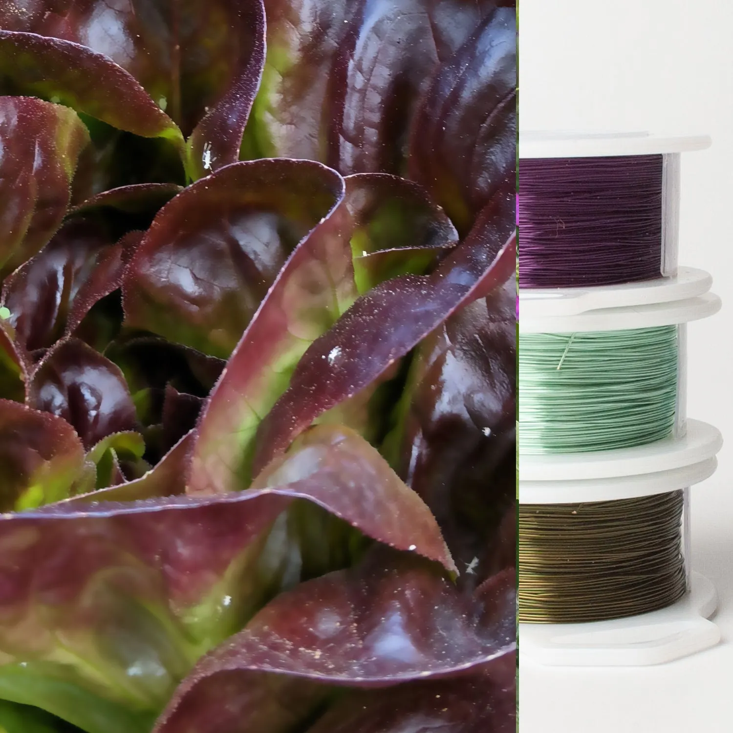 Jewelry making wire - Garden inspiration - red lettuce - 3 spools