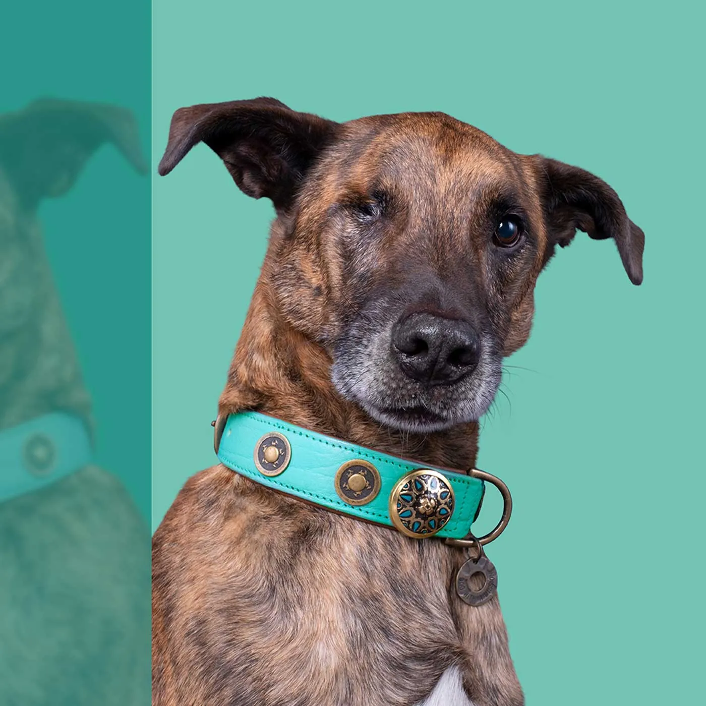 Rebel Dog Collar by DWAM