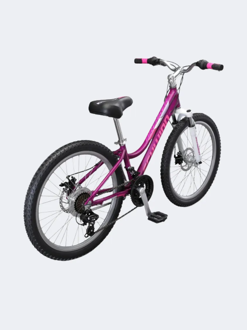 Schwinn Breaker Dual Disc 24" Girls Biking Bike Purple