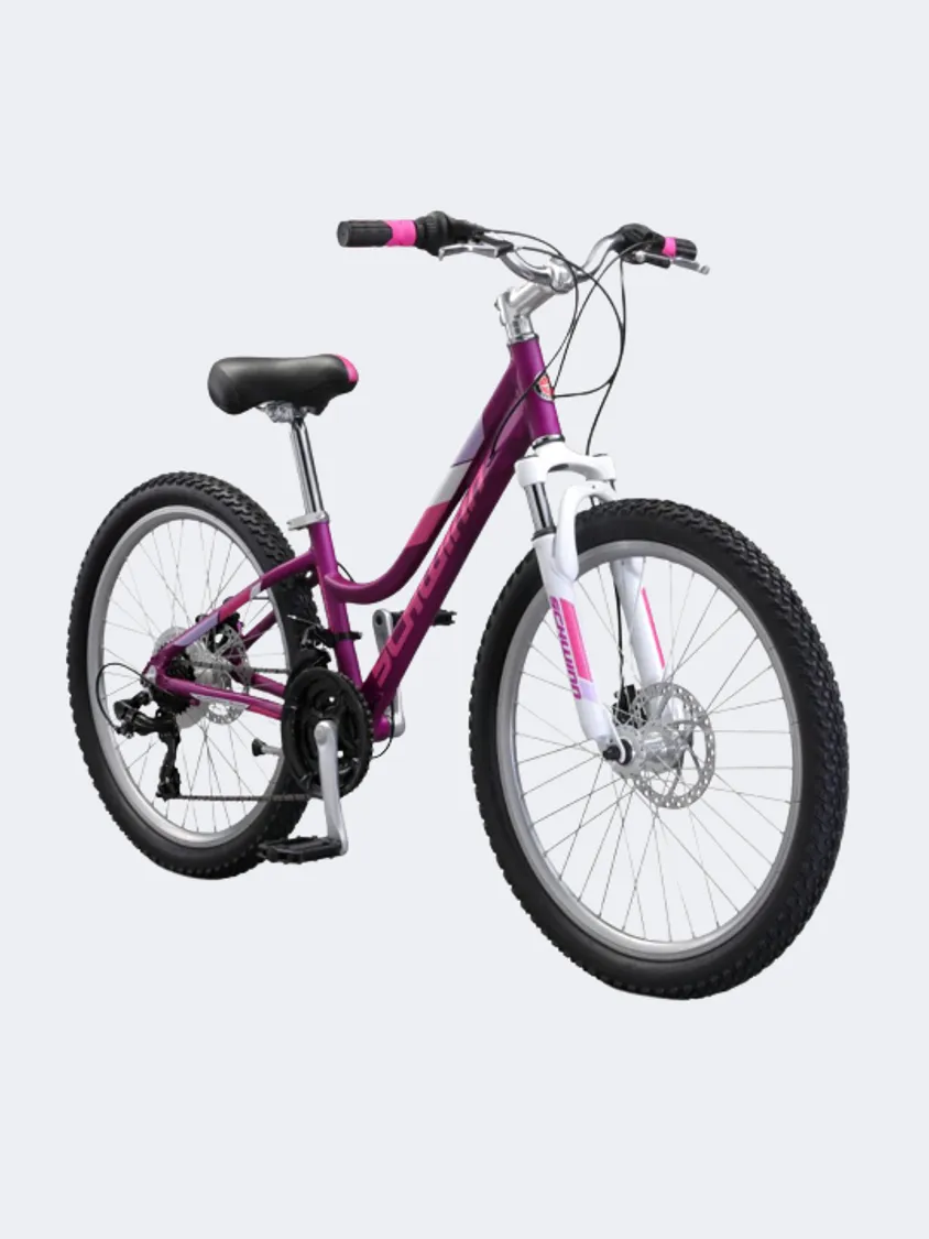 Schwinn Breaker Dual Disc 24" Girls Biking Bike Purple